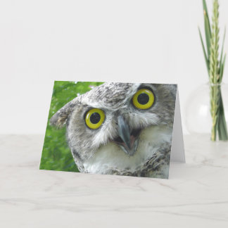 Great-Horned Owl Card
