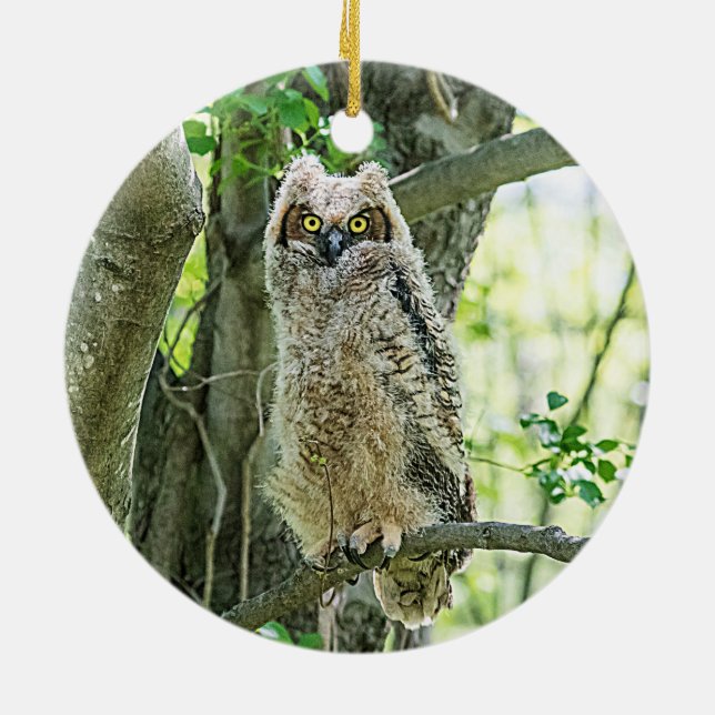 Great Horned Owl Ceramic Tree Decoration (Back)