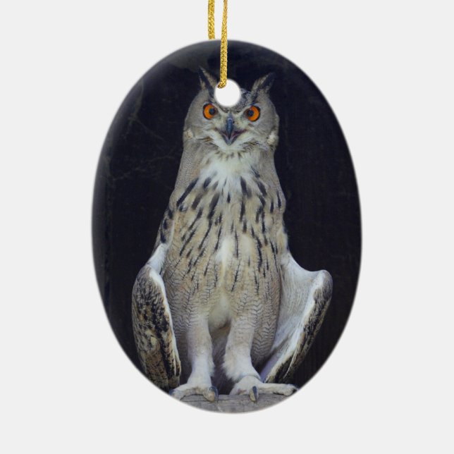 Great Horned Owl Ceramic Tree Decoration (Back)