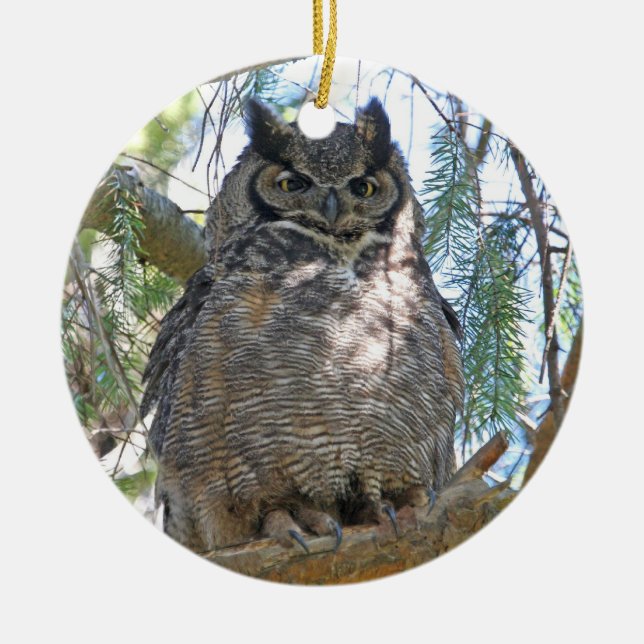 Great Horned Owl Ceramic Tree Decoration (Front)