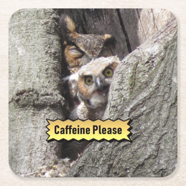 Great Horned Owl Coaster Set (Front)
