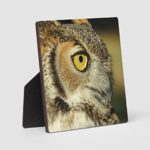 Great Horned Owl Desktop Plaque