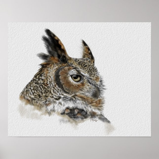 Great Horned Owl Drawing Poster (Front)