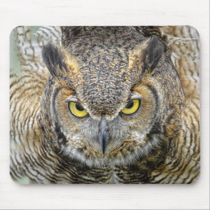 Great Horned Owl Following Eyes Mouse Pad