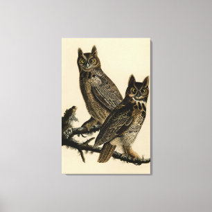 Great Horned Owl from Audubon's Birds of America Canvas Print