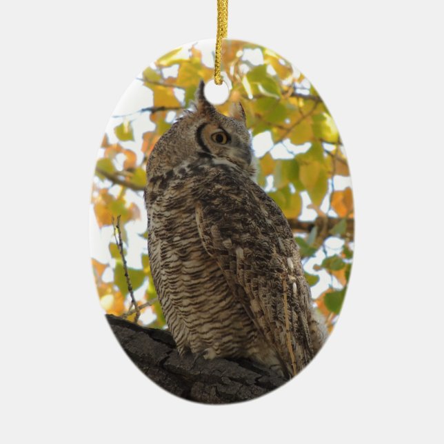 Great Horned Owl in a Tree Ceramic Tree Decoration (Front)