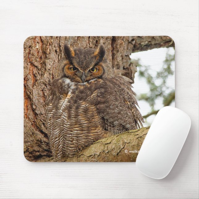 Great Horned Owl in the Douglas Fir Mouse Pad (With Mouse)