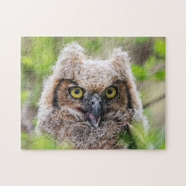 Great Horned Owl Jigsaw Puzzle (Horizontal)