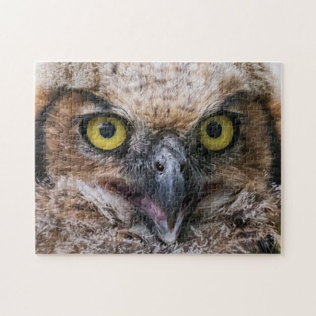 Great Horned Owl Jigsaw Puzzle (Horizontal)