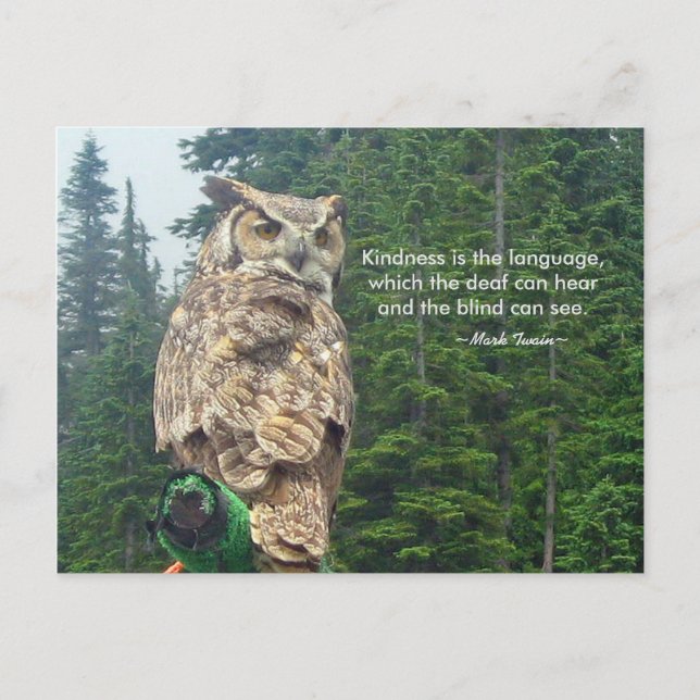 Great Horned Owl Kindness Postcard (Front)