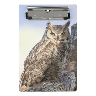 Great Horned Owl - Looking at You Mini Clipboard