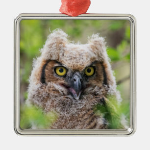 Great Horned Owl Metal Tree Decoration