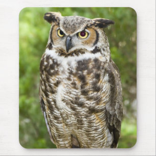Great Horned Owl Mouse Pad