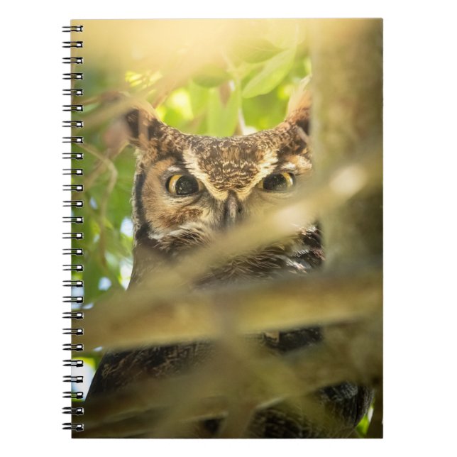 Great Horned Owl Notebook | Hidden Forest Bird (Front)