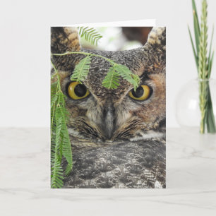 Great Horned Owl Notecard