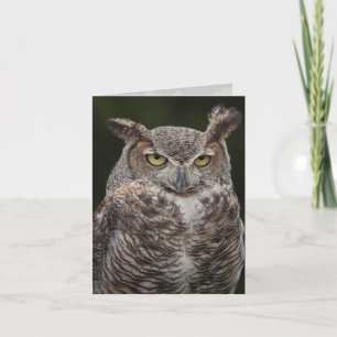 Great Horned Owl notecard