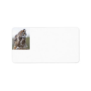 Great Horned Owl Photo Address Labels