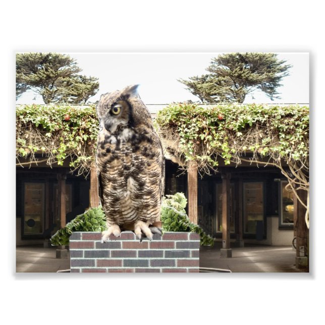 Great Horned Owl Photo Print (Front)