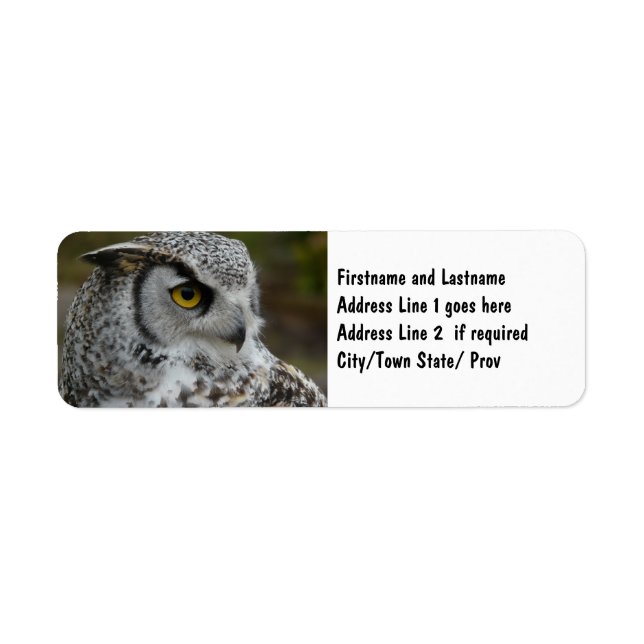 Great Horned Owl Photograph (Front)