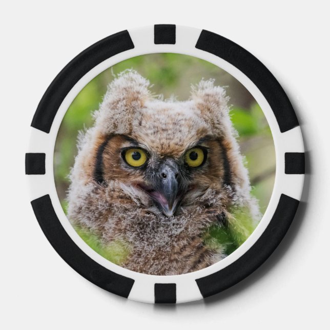 Great Horned Owl Poker Chips (Front)