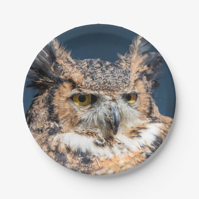 Great Horned Owl Portrait Paper Plate (Front)