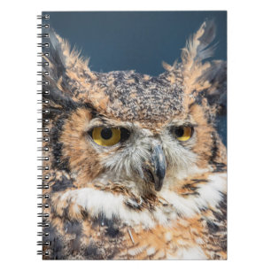 Great Horned Owl Portrait Spiral Notebook