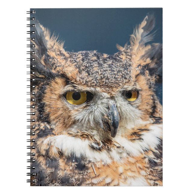 Great Horned Owl Portrait Spiral Notebook (Front)