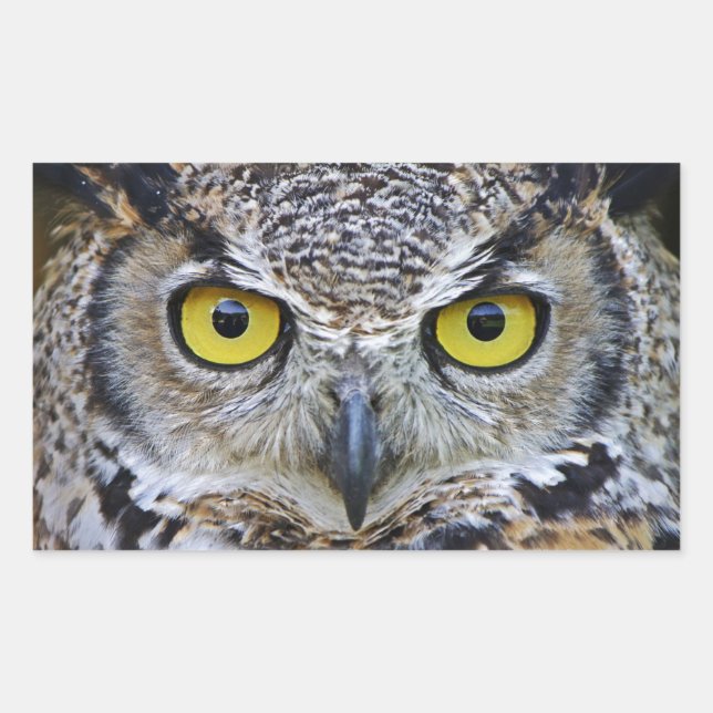 great horned owl rectangular sticker (Front)
