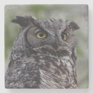 Great Horned Owl Stone Coaster