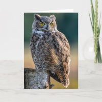 Great Horned Owl Thank You Card