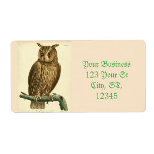 Great Horned Owl Thunder_Cove