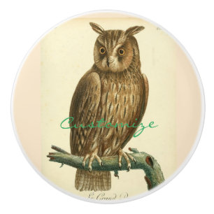 Great Horned Owl Thunder_Cove Ceramic Knob