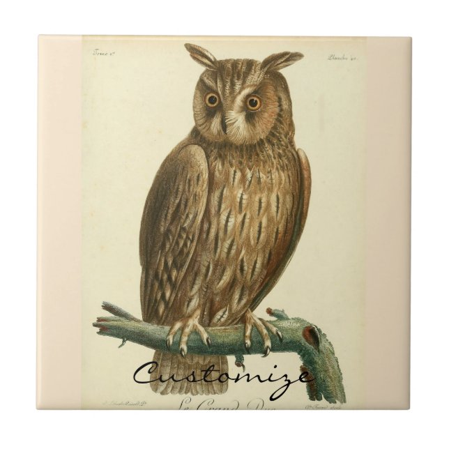 Great Horned Owl Thunder_Cove Tile (Front)