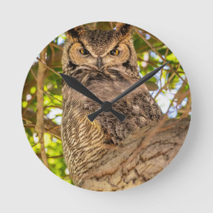 Great Horned Owl Wall Clock Wildlife Nature Decor