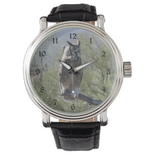 Great Horned Owl Watch