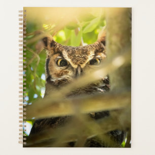 Great Horned Owl Wildlife Nature Photo Art Print Planner