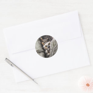 Great Horned Owl (with newborn) classic sticker