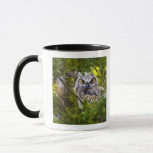 Great Horned Owlet Mug