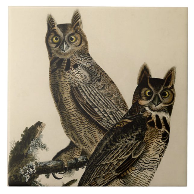 Great Horned Owls (by John James Audubon) Tile (Front)