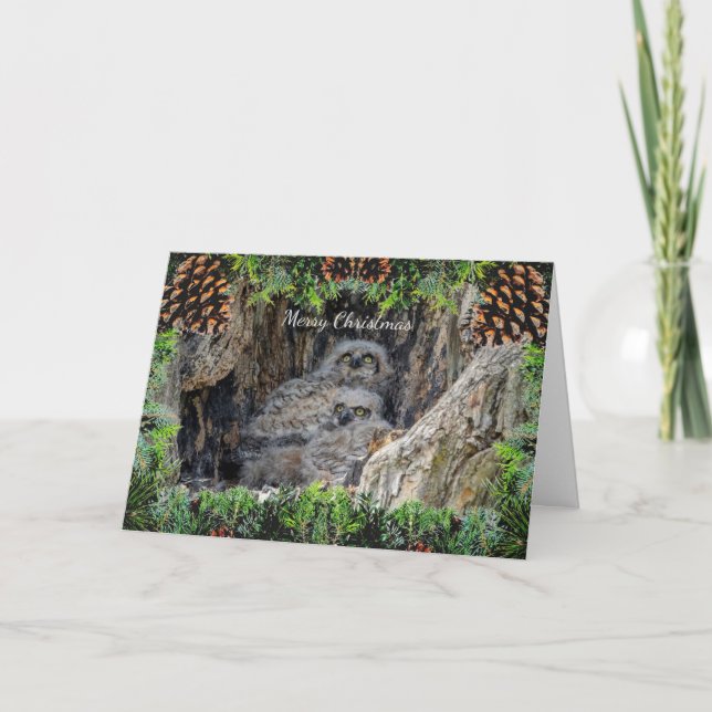 Great Horned Owls Christmas Card (Front)