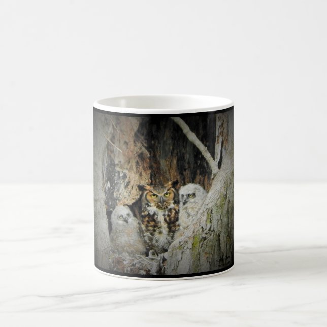 Great-Horned Owls Coffee Mug (Center)