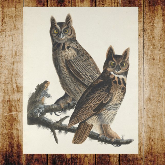 Great Horned Owls Spooky Vintage Illustration Poster (Creator Uploaded)