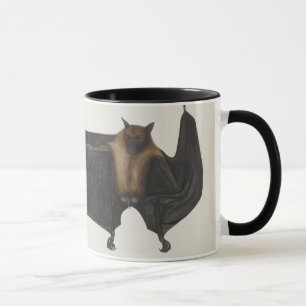 Great Indian Fruit Bat, c.1777-82 Mug
