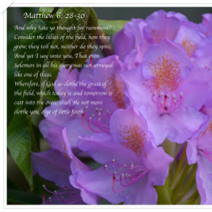 Great Is Thy Faithfulness! Postcard