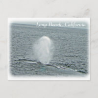 Great Long Beach Whale Postcard!