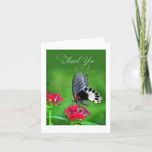 Great Mormon Butterfly in floral setting Thank You Card