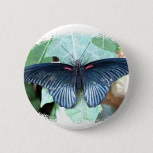 Great Mormon-Tropical Butterfly 6 Cm Round Badge