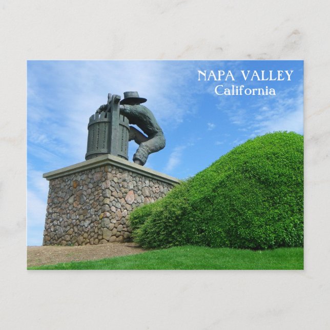 Great Napa Valley Postcard! Postcard (Front)