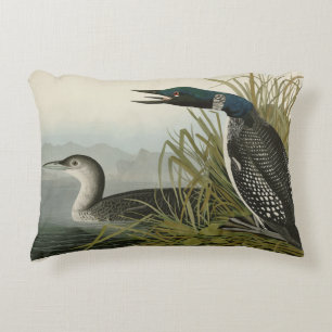 Great Northern Diver Loon Audubon Birds of America Decorative Cushion