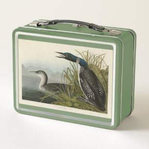 Great Northern Diver Loon Audubon Birds of America Metal Lunch Box